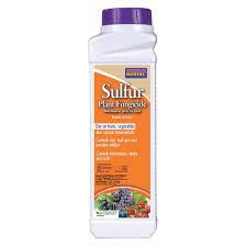 Bonide Sulfur Plant Fungicide Micronized Spray 1LB