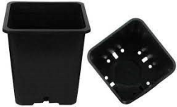 ISH Premium Black Square Pots 9x9x11