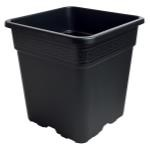 Gro Pro Black Square Pot 1/2 Gallon