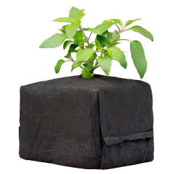 Indoor Sun Coco Cubes 6.5 Inch 32/Box