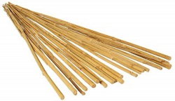 Grow!t Bamboo Stake 4' 25pk
