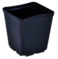 McConkey 5.5 Square One, 264/case