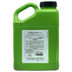 Regalia CG Gallon