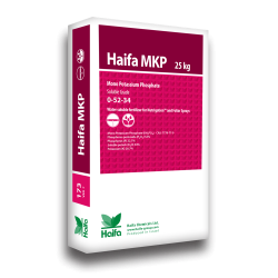 HAIFA MKP SG 0-52-34 Monopotassium Phosphate - 50 lb